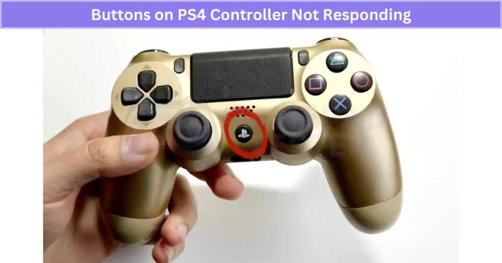 Buttons on PS4 Controller Not Responding